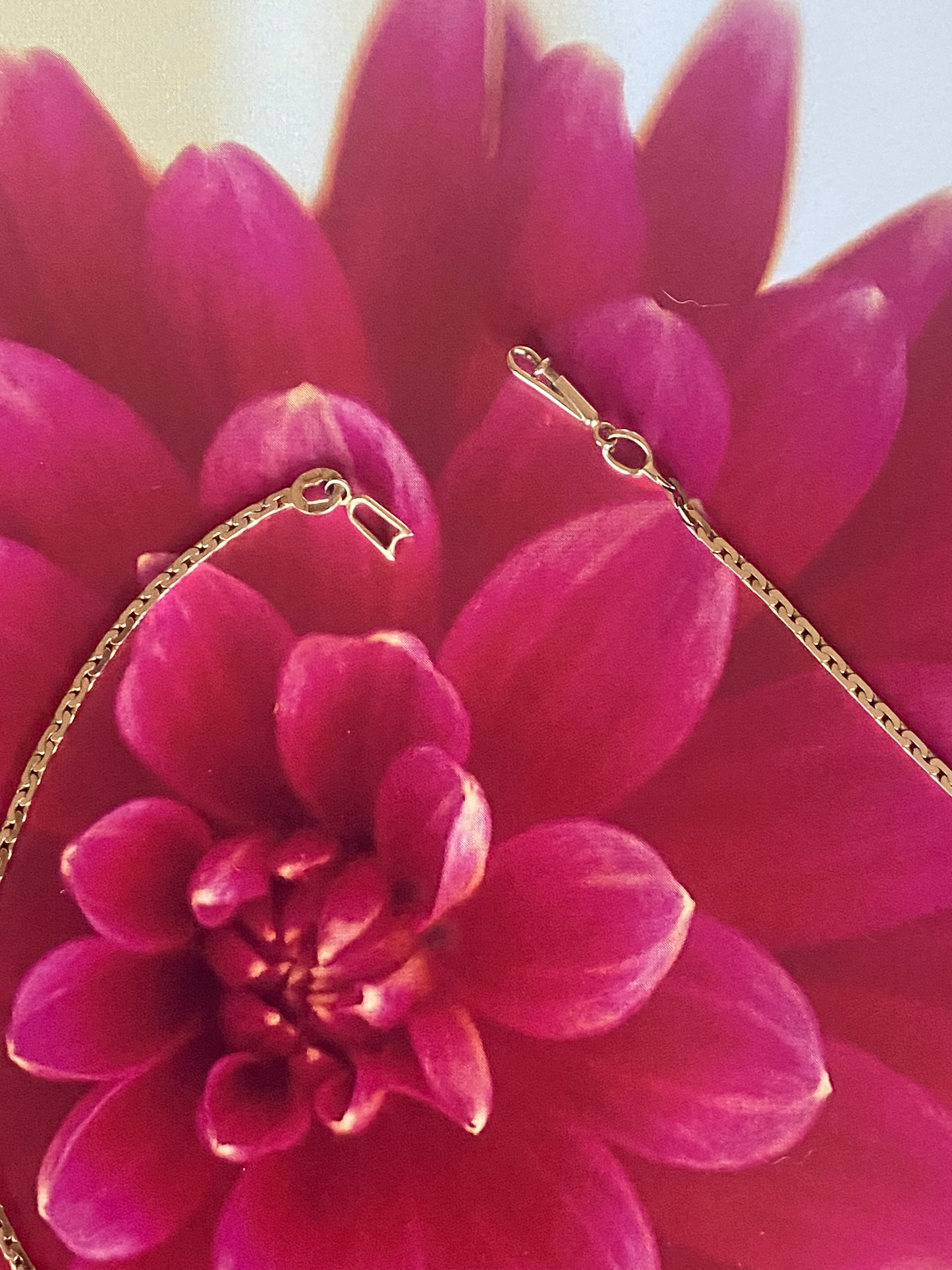 Charm Anklet