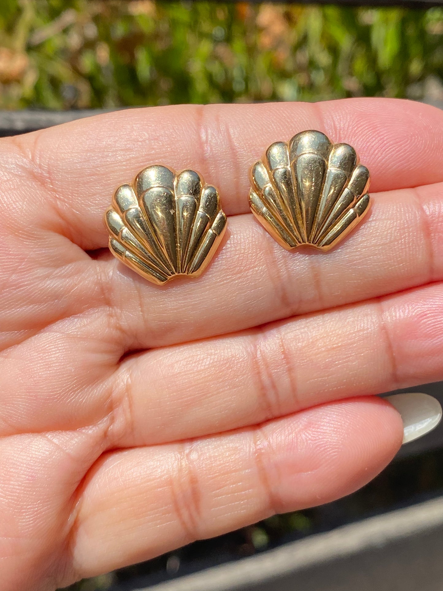 14k Puffy Shell Earrings