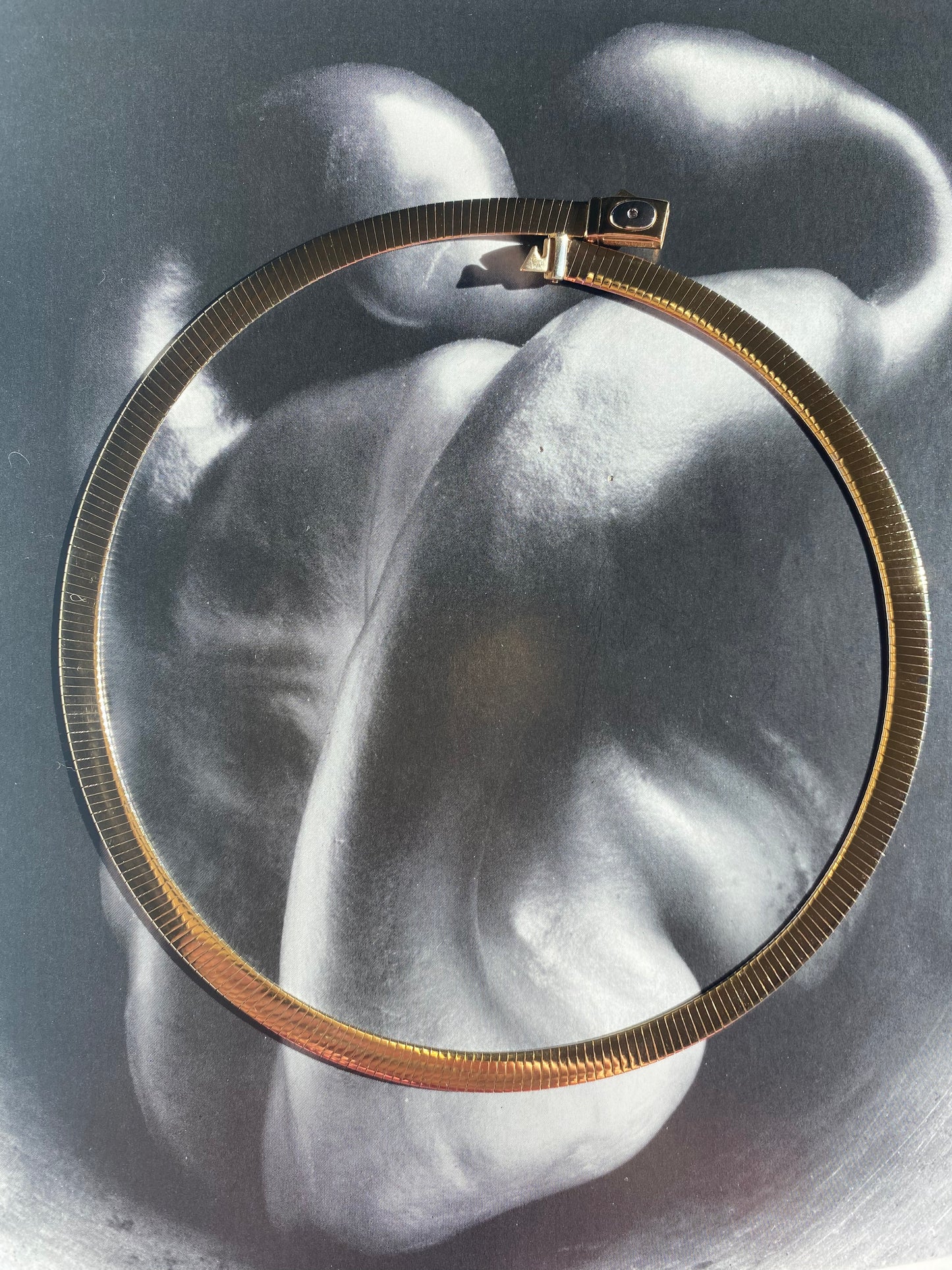 Reversible Omega Necklace