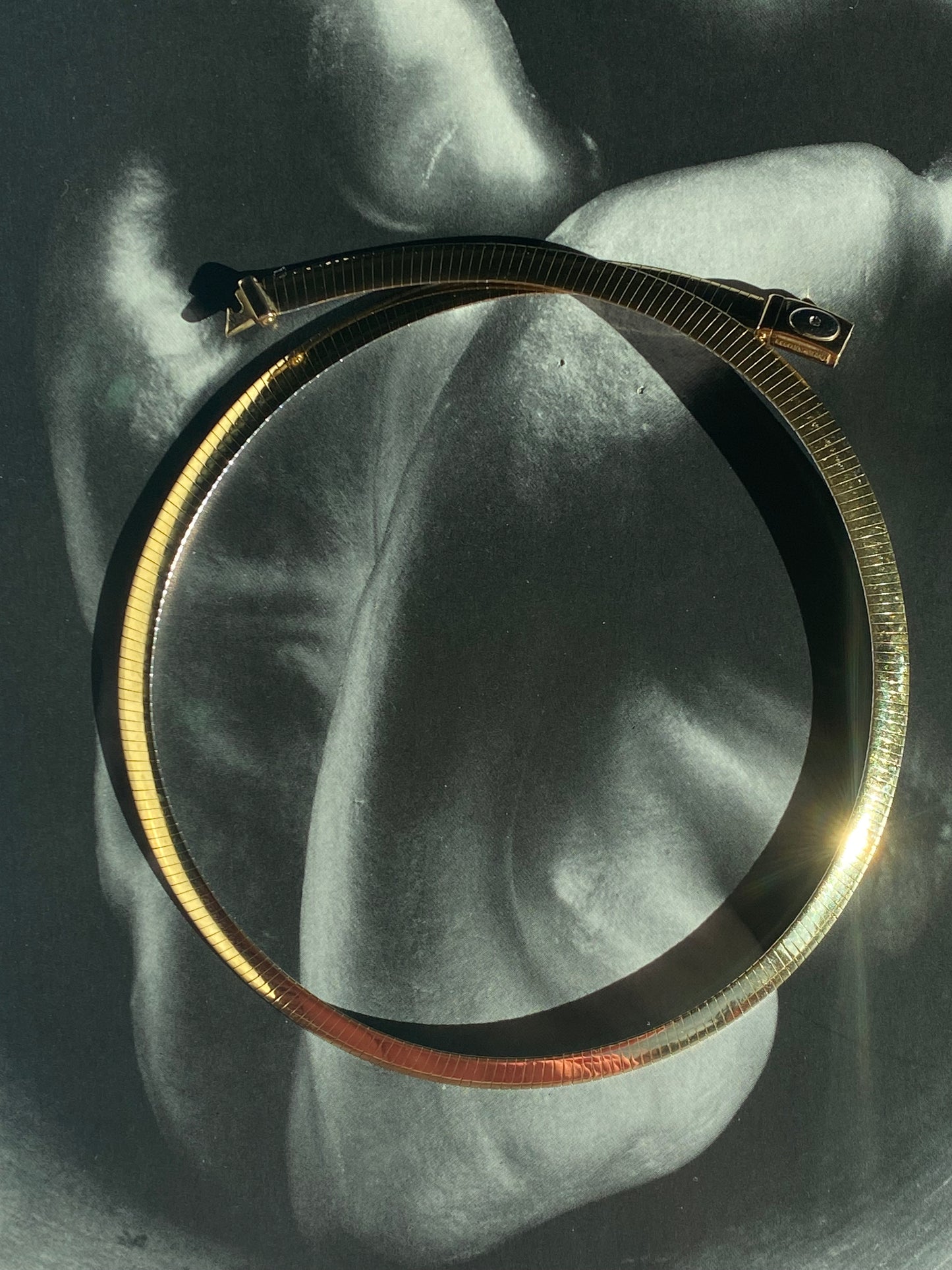 Reversible Omega Necklace