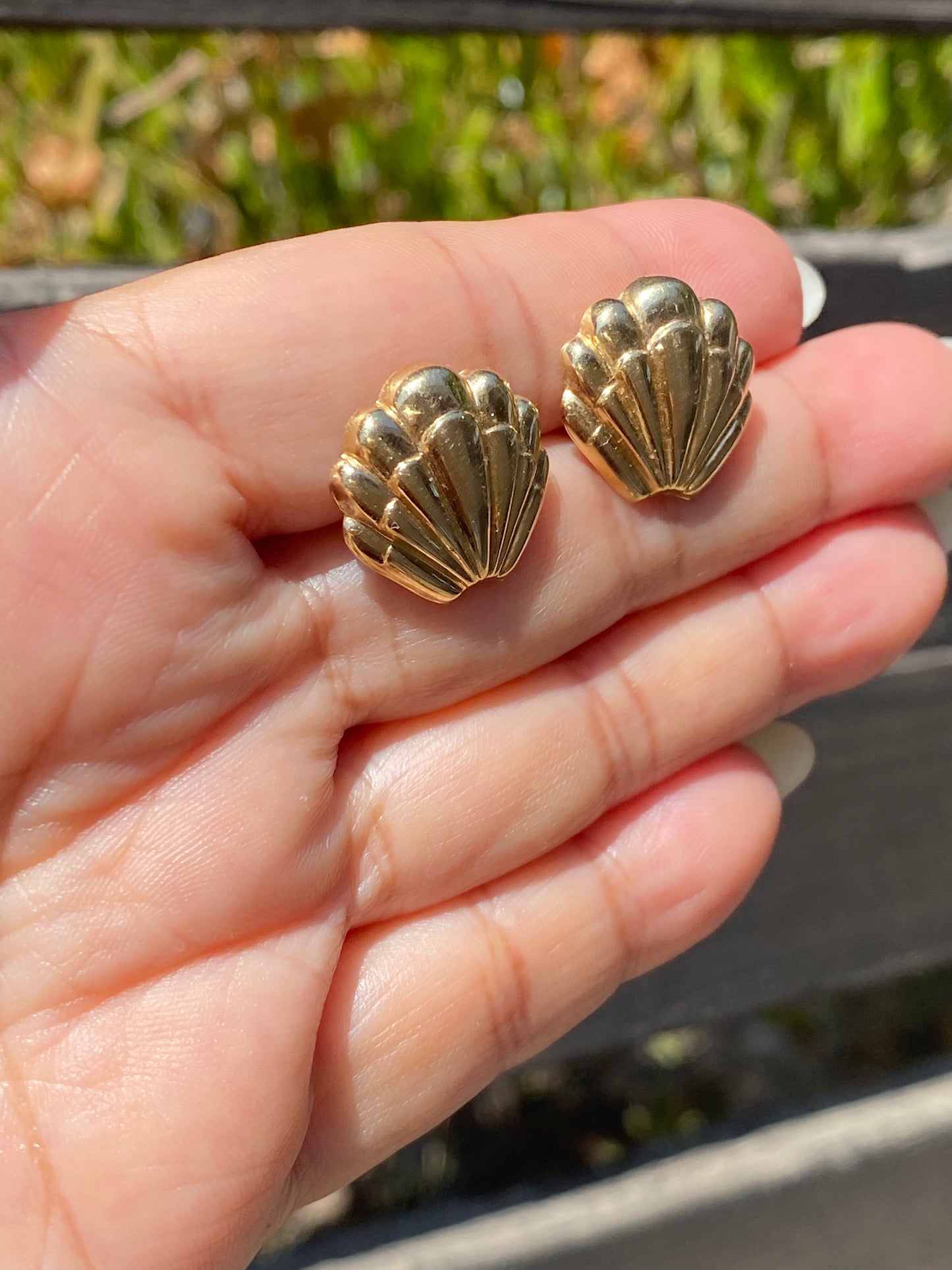 14k Puffy Shell Earrings