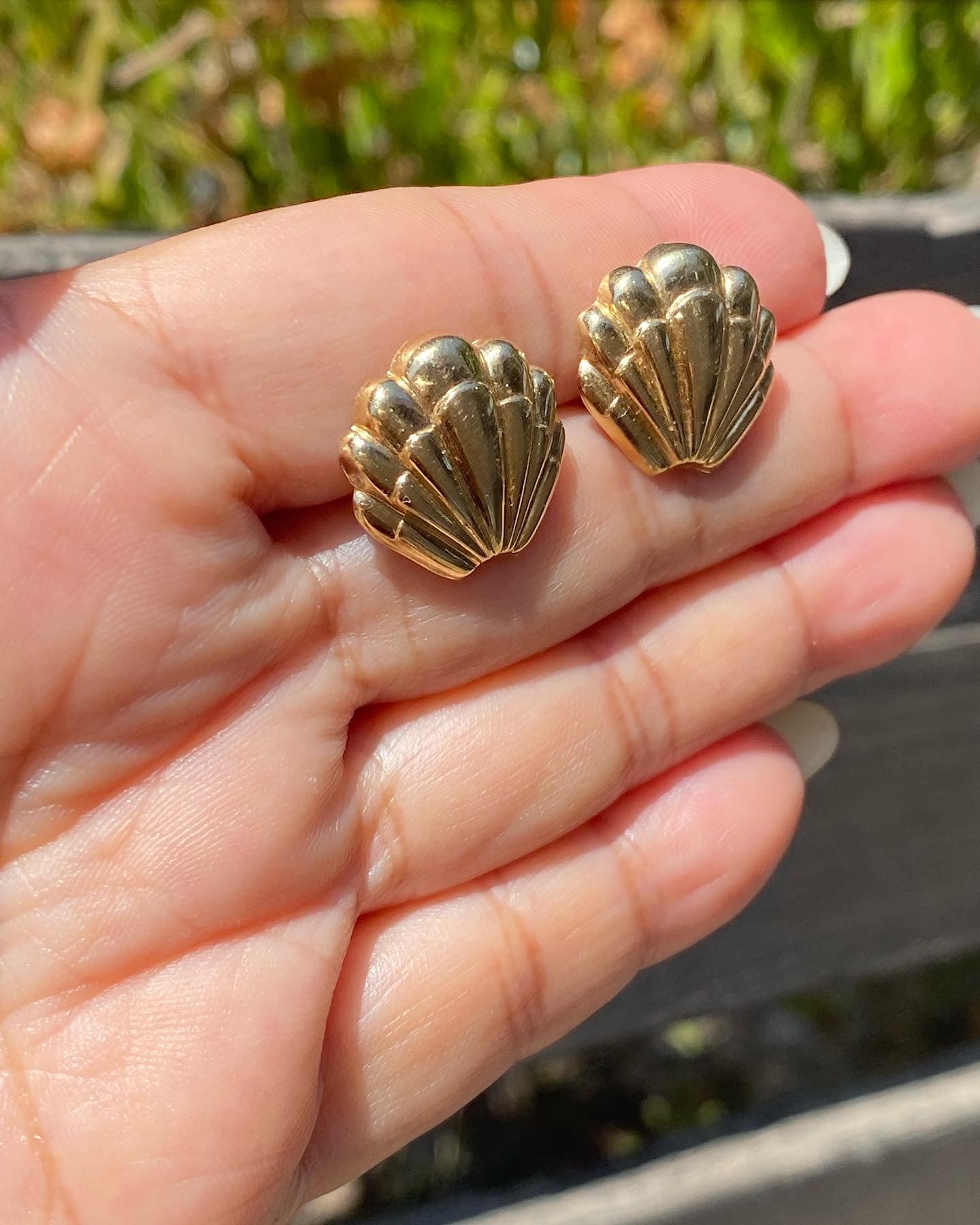 14k Puffy Shell Earrings