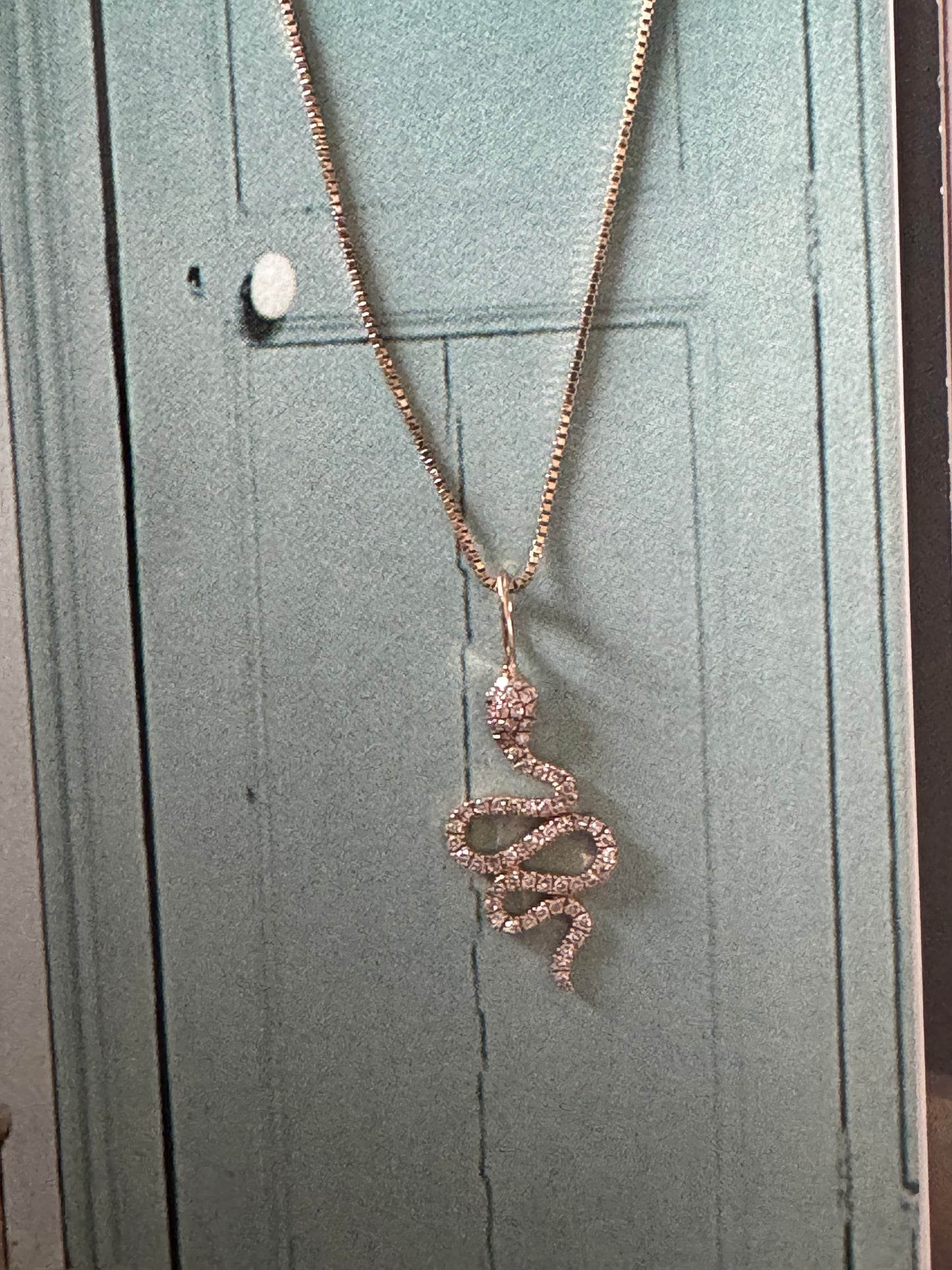 Snake Charm and Chain