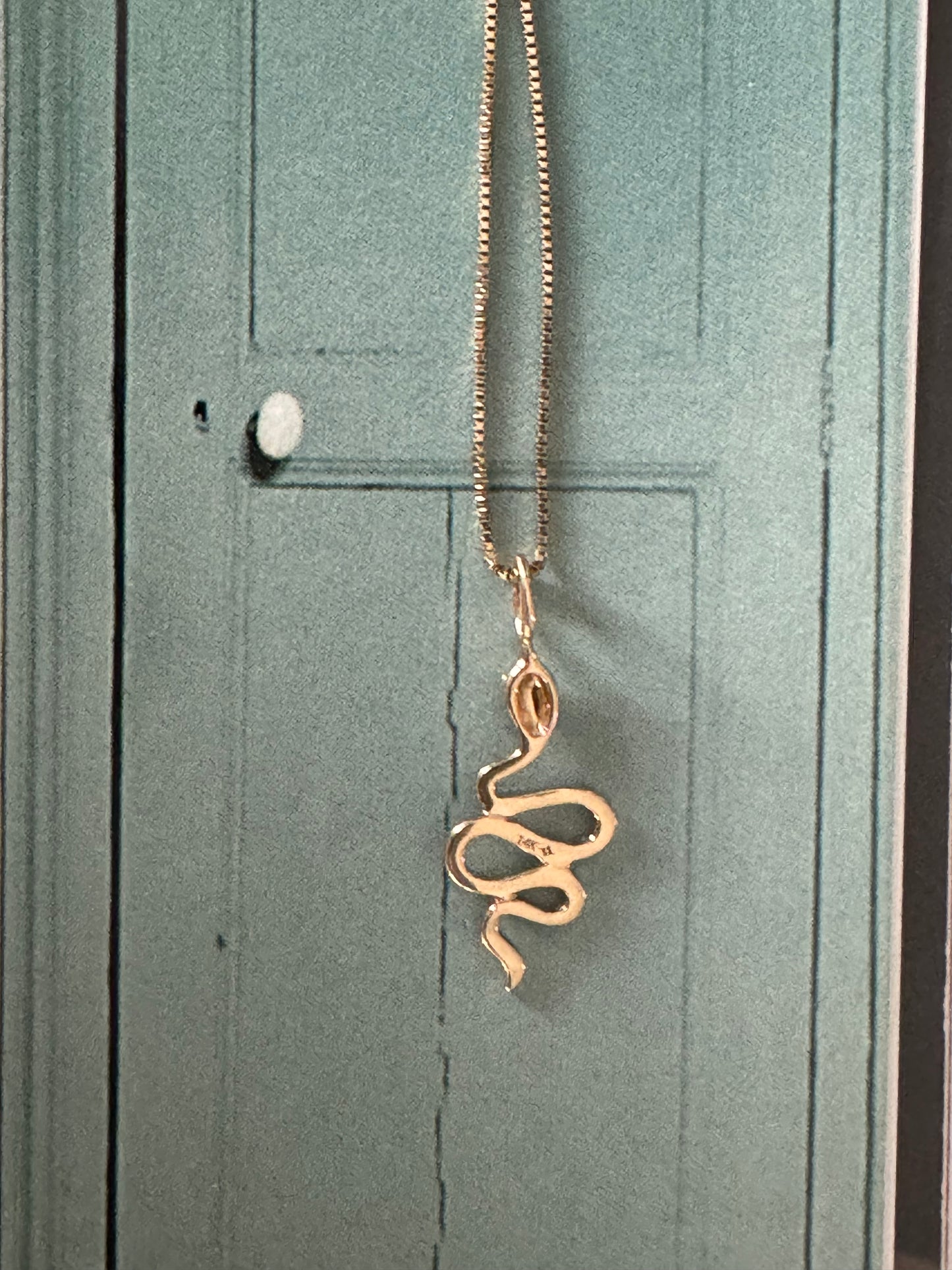 Snake Charm and Chain