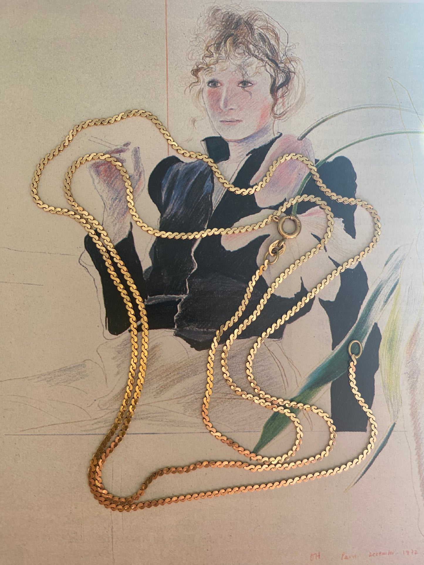 Serpentine Chain