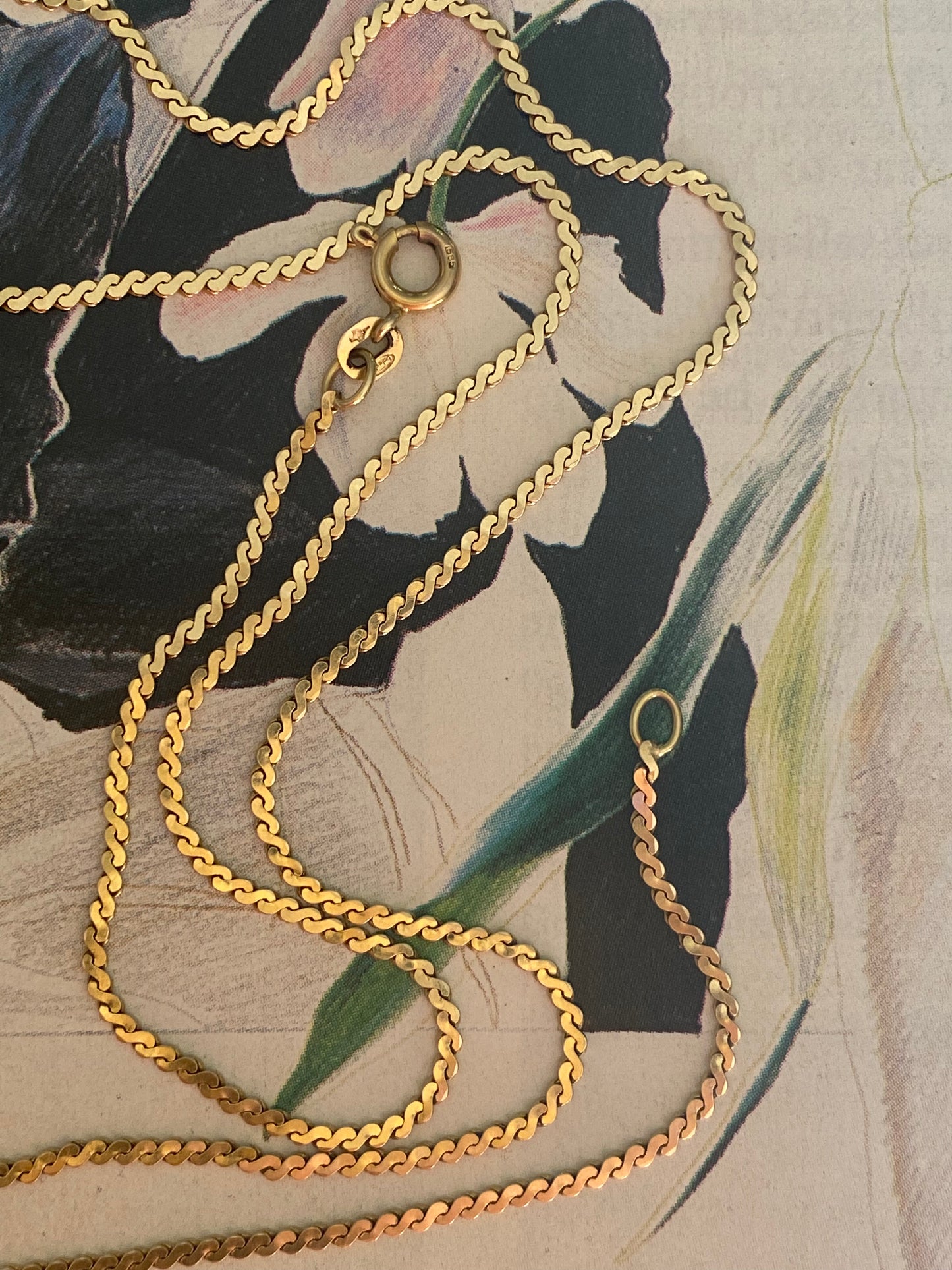 Serpentine Chain