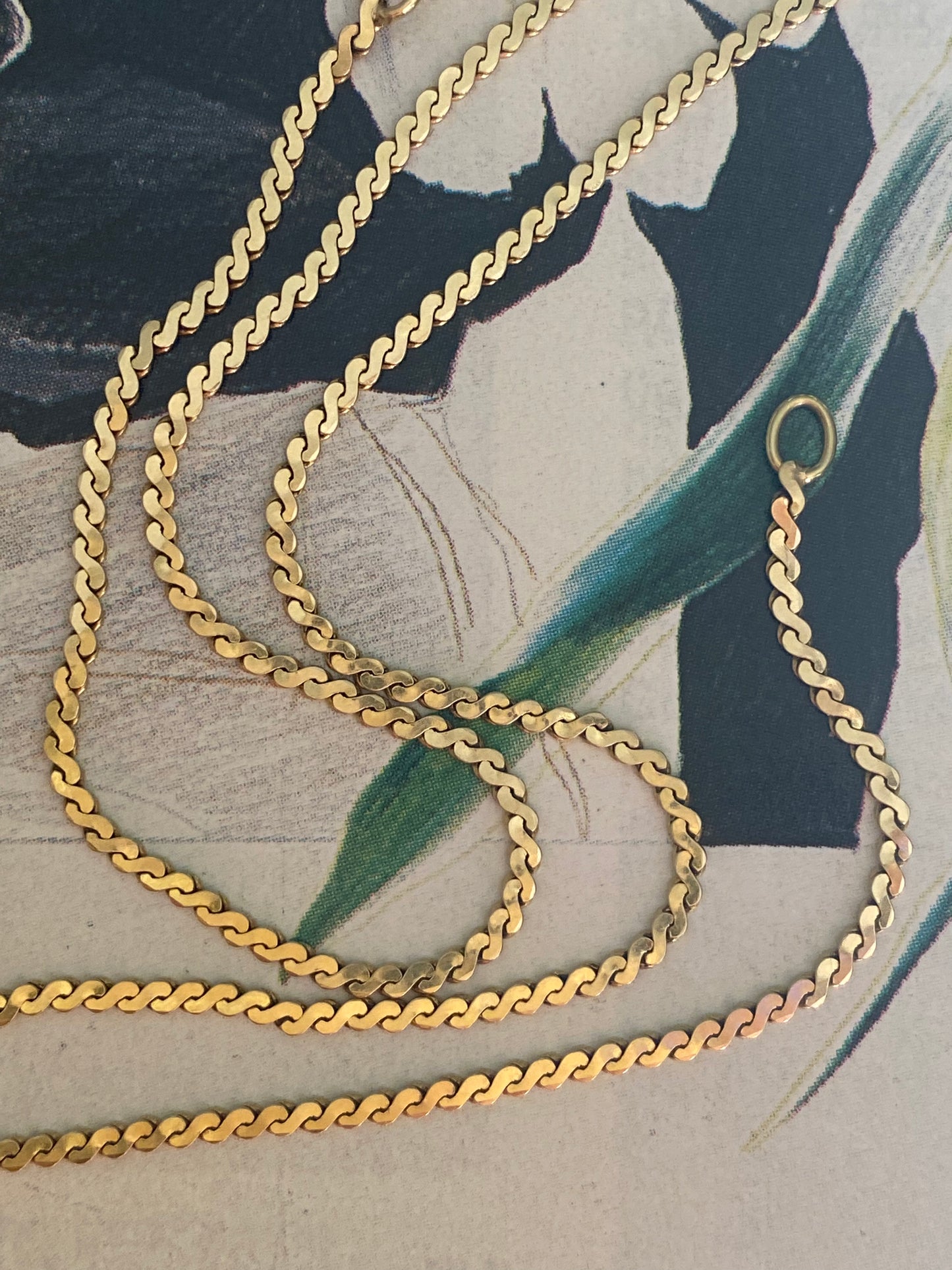 Serpentine Chain